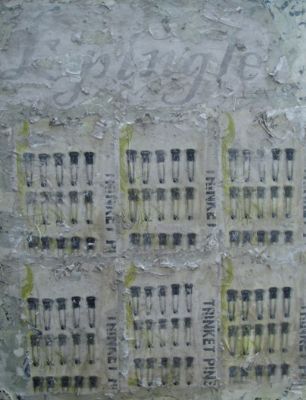 Pingel 2005